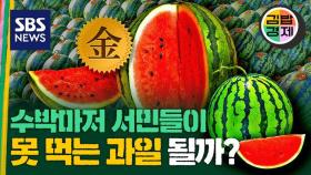 [김밥경제] 더위잡는 '수박' 올여름 가격은? '금사과' 이어 수박도 금값 될까?