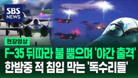 [영상] 어둠 속 불 뿜으며 공군 전투기 60여 대 출격…'소링 이글' 훈련 중 공개된 웅장한 장면들