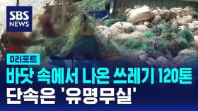 [D리포트] 바닷속에서 나온 쓰레기 120톤…단속은 '유명무실'