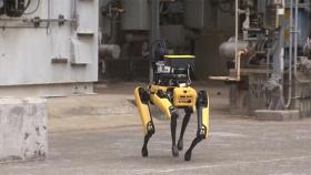 사람 대신 공장 살피는 로봇 개…생산성·안전성 모두 잡는다