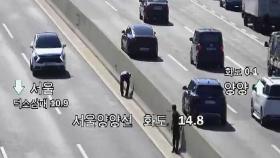 [영상] 지폐 줍겠다고…고속도로 내달린 운전자들에 일대 '마비'