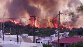 40도 찜통에 산불까지…그리스 찾은 관광객들 잇단 사망