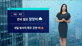 [날씨] 내일부터 중부지방 본격 장마…서울 등 최고 80mm