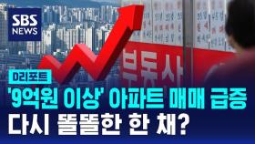 [D리포트] '9억 원 이상' 서울 아파트 매매 급증…다시 똘똘한 한 채?
