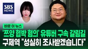 [바로이뉴스] '쯔양 협박 혐의' 유튜버 구속 갈림길…구제역 
