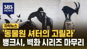 [자막뉴스] '동물원 셔터의 고릴라' 뱅크시 런던 벽화 시리즈 마무리