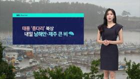 [날씨] 태풍 '종다리' 북상…내일 남해안·제주 큰 비