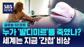 [글로벌D리포트] 누가 '발디미르'를 죽였나?…세계는 지금 '간첩' 비상