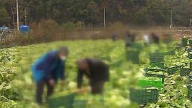 접경지 농가, 군납 계약 유지 '안간힘'