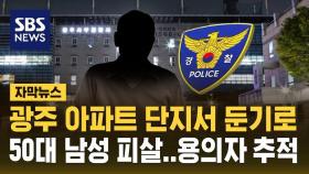 [자막뉴스]