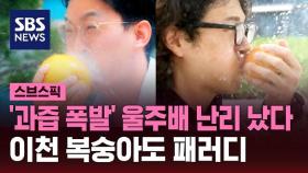 [스브스픽] '과즙 폭발' 울주배 난리 났다…이천 복숭아도 패러디