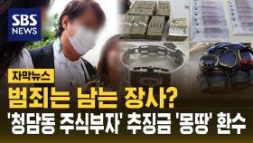 [자막뉴스] 범죄는 남는 장사? '청담동 주식부자' 추징금 '몽땅' 환수