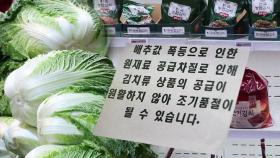 '배추 김치' 마트서 품절…판매 일시 중단