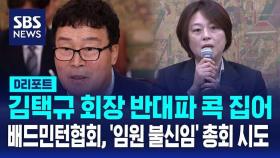 [AI D리포트] 김택규 회장 반대파 콕 집어…배드민턴협회, '임원 불신임' 총회 시도