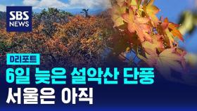 [D리포트] 6일 늦은 설악산 단풍…서울은 아직