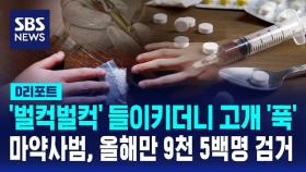 [D리포트] '음료수 벌컥벌컥' 마약 투약자 검거…마약사범 올해만 9천500명