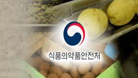 [단독] 미국산 'GMO 감자' 수입 안전성 심사 중