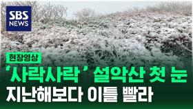 [현장영상] '사락사락' 설악산 첫 눈…방한용품은 '필수'