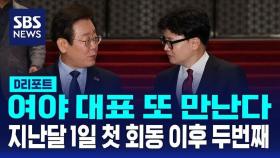 [AI D리포트] 여야 대표 또 만난다…지난달 1일 첫 회동 이후 두번째