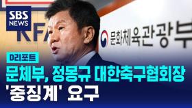 [D리포트] 문체부, 정몽규 대한축구협회장 '중징계' 요구