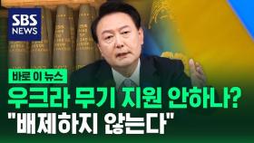 [바로이뉴스] 우크라 무기 지원 안 하나?…