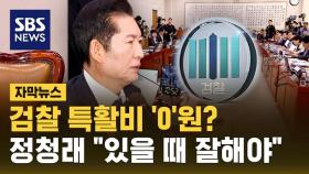 [자막뉴스] 검찰 특수활동비 '0'원?…정청래 