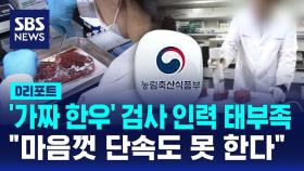 [D리포트] '가짜 한우' 검사 인력 태부족…