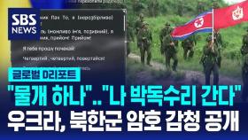 [글로벌D리포트] 
