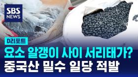 [D리포트] 관세 안내려고…요소수로 위장해 중국산 서리태 밀수