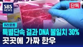 [단독] 특별단속 결과 DNA 불일치 30%…곳곳에 가짜 한우 (D리포트)