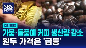 [D리포트] 가뭄·돌풍에 커피 생산량 감소…원두 가격은 '급등'