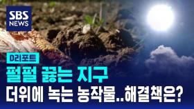 [D리포트] 펄펄 끓는 지구, 더위에 녹는 농작물…해결책은?