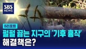 [D리포트] 펄펄 끓는 지구의 '기후 흉작'…해결책은?