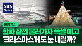 [영상] 올해 '화이트 크리스마스' 기대해도 될까? 오늘 밤부터 전국 곳곳에 많은 눈 예보