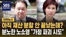 [자막뉴스] 최태원, 대법원에 '이혼 확정' 재차 요구…노소영 