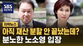 최태원, 대법원에 '이혼 확정' 재차 요구…분노한 노소영 측 입장