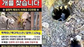 폭설 내린 날 사라진 백구…친구 덕에 구사일생