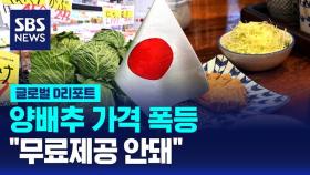 [글로벌D리포트] 양배추 가격 폭등…