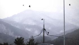'최강 한파' 설악산 -24.1도…칼바람에 체감온도는 -37도