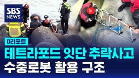 [D리포트] 테트라포드 잇단 추락 사고…수중로봇 활용 구조