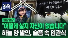 [현장영상] 