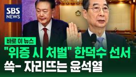 [바로이뉴스] 