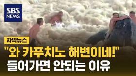 [자막뉴스] '카푸치노 해변' 아니고 '박테리아 스무디'…'들어가지 마' 경고