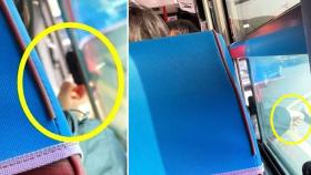 내뿜고 팔 걸친 채 '툭'…제주 버스서 중국인 흡연 발칵