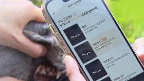 AI가 사진으로 건강 확인…'펫보험' 활로 찾을 수 있을까