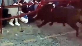 울타리 부수고 관중 덮쳤다…아수라장 된 투우 축제장