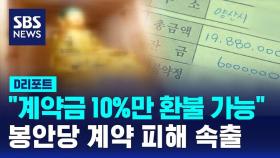 [D리포트] 