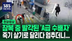[영상] 현상수배범 사진 보여주자 