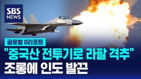 [글로벌D리포트] 