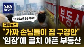 [자막뉴스] 